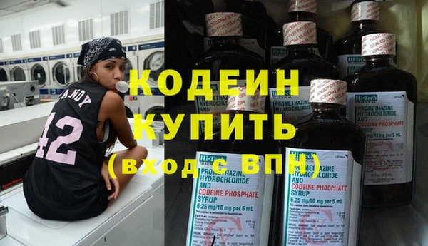 шишки Михайлов