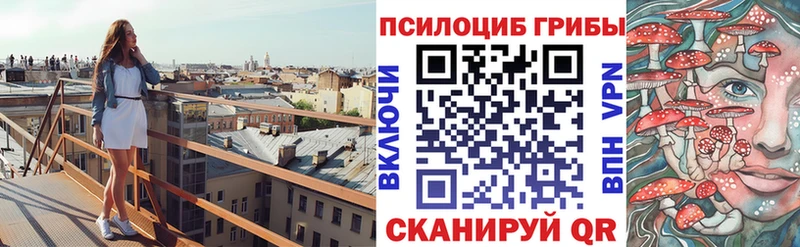 Псилоцибиновые грибы Psilocybe Сорск
