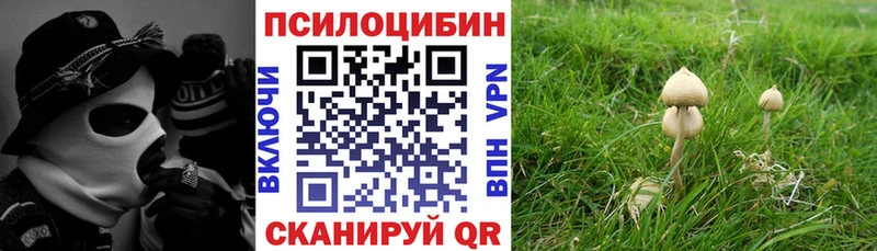 блэк спрут зеркало  Сорск  Псилоцибиновые грибы GOLDEN TEACHER  хочу  